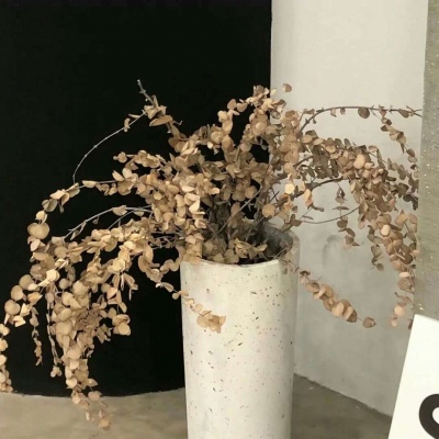 Furry插画元素设计FurryQQ群